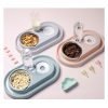 Cat Feeder and Water Dispenser Set